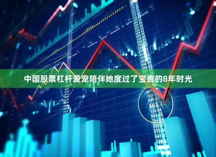中国股票杠杆爱宠陪伴她度过了宝贵的8年时光