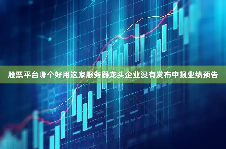 股票平台哪个好用这家服务器龙头企业没有发布中报业绩预告