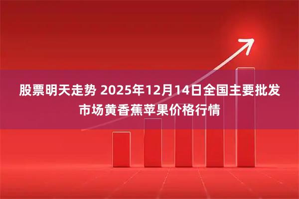 股票明天走势 2025年12月14日全国主要批发市场黄香蕉苹果价格行情