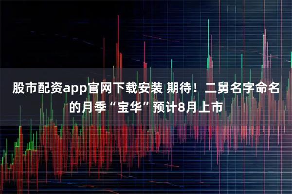 股市配资app官网下载安装 期待！二舅名字命名的月季“宝华”预计8月上市