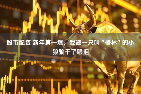 股市配资 新年第一爆，我被一只叫“格林”的小狼骗干了眼泪