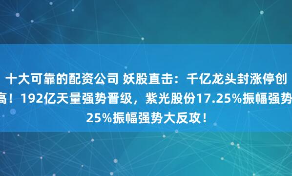 十大可靠的配资公司 妖股直击：千亿龙头封涨停创历史新高！192亿天量强势晋级，紫光股份17.25%振幅强势大反攻！